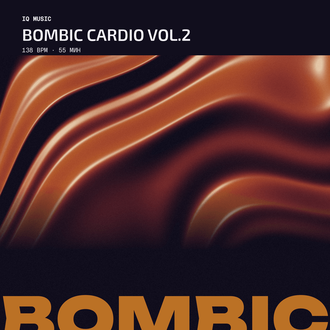 BOMBIC CARDIO Vol.2 (138 bpm 55 min)