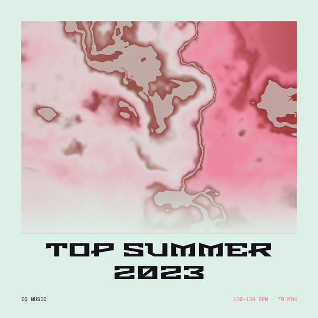 TOP Summer 2023 (130-134 bpm 79 min)