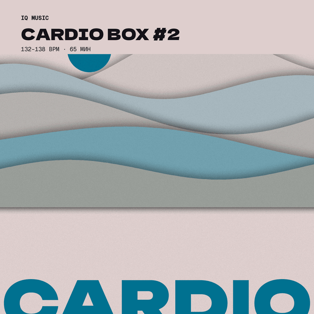 CARDIO BOX #2 - 132-138 bpm 65 MIN
