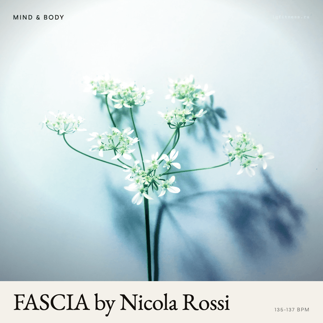 FASCIA by Nicola Rossi — музыка для степ-аэробики 135–137 BPM