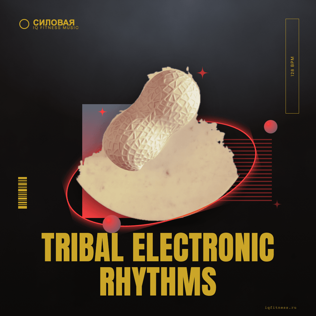 TRIBAL ELECTRONIC RHYTHMS — музыка для функционального тренинга 128 BPM