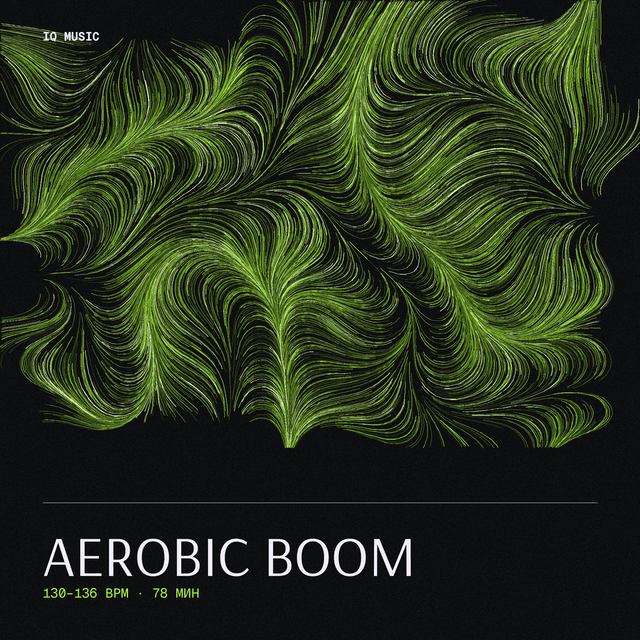 Aerobic BOOM 130-136 BPM 78 min