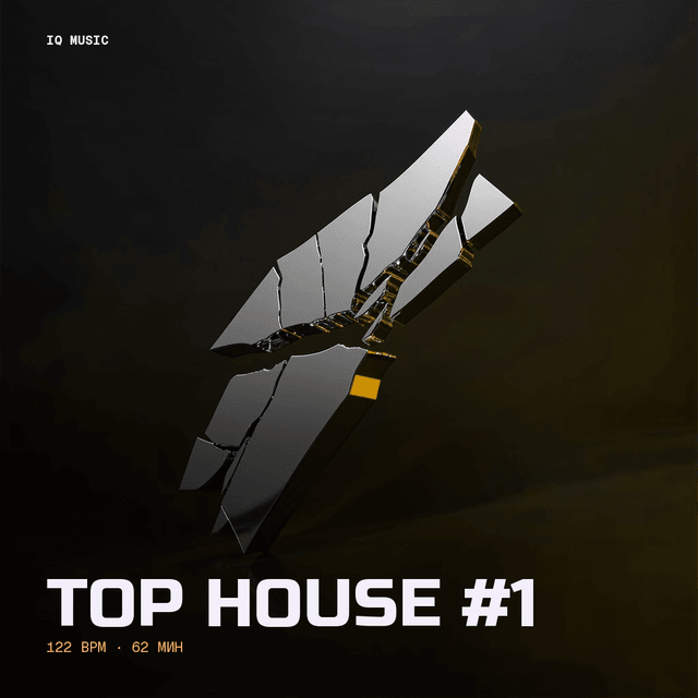 TOP HOUSE #1 (122 bpm 62 min)
