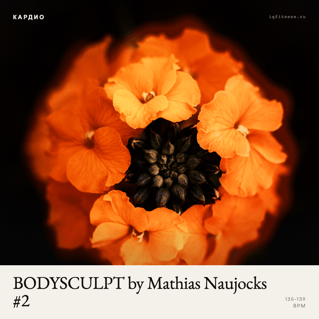 BODYSCULPT by Mathias Naujocks #2 — музыка для степ-аэробики 135–139 BPM