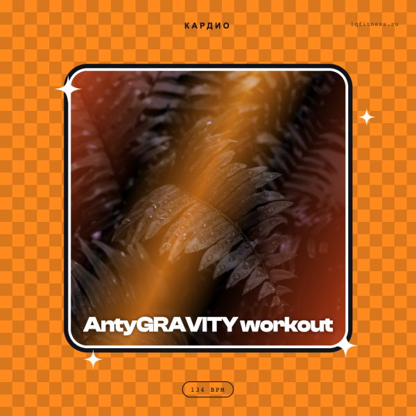 AntyGRAVITY workout 134 BPM 62 min 