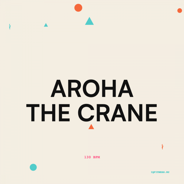 AROHA THE CRANE — 130 bpm — 60 min 