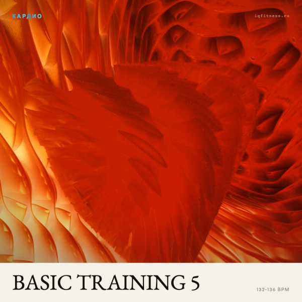 BASIC TRAINING 5 (132-136 bpm 59 min) 