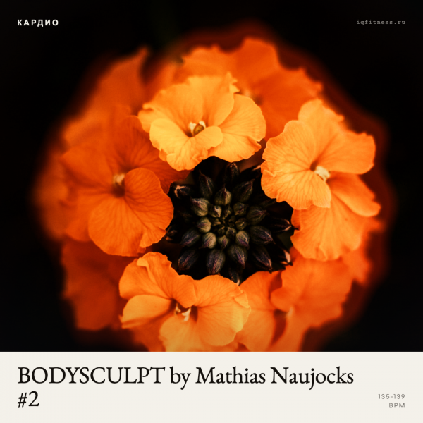 BODYSCULPT by Mathias Naujocks #2 — 135-139 bpm- 60 min 