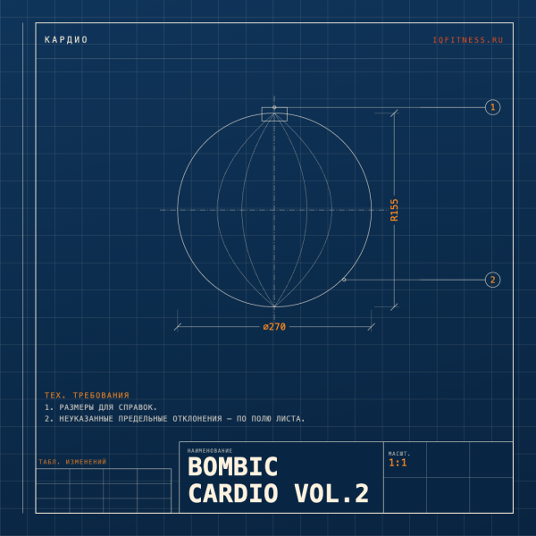 BOMBIC CARDIO Vol.2 (138 bpm 55 min) 