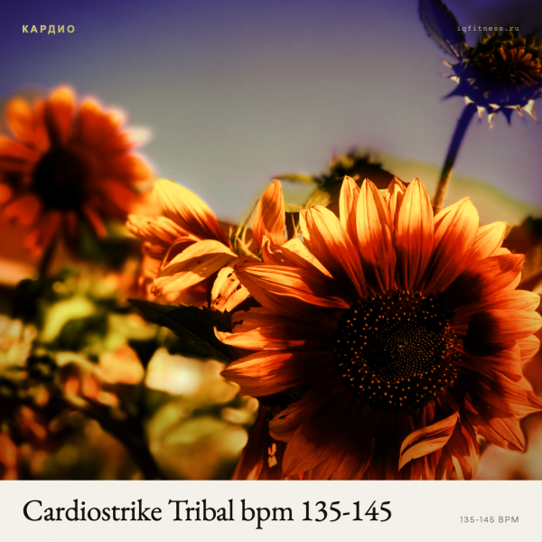 Cardiostrike Tribal bpm 135-145 -60 min 