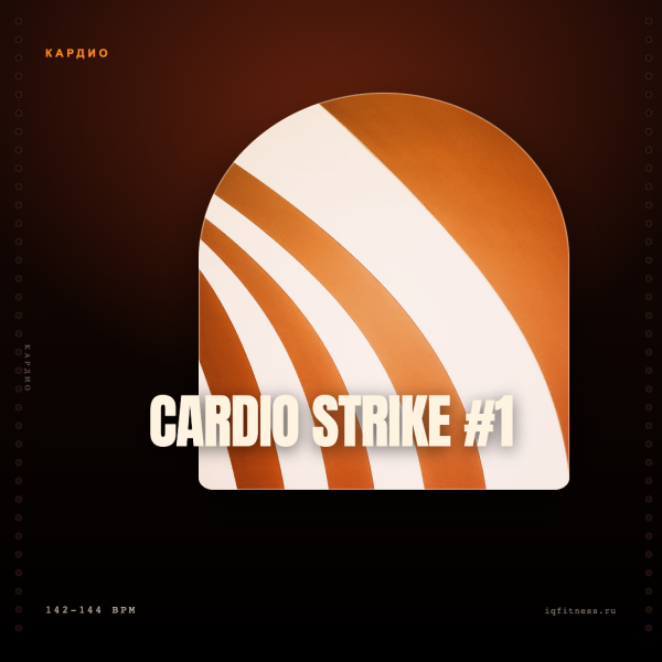 CARDIO STRIKE #1 (142-144 bpm 56 min) 