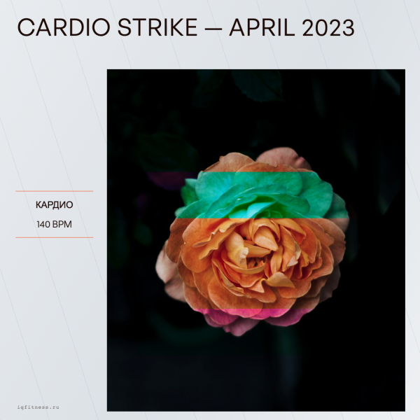 CARDIO STRIKE — April 2023 (140 bpm 78 min) 