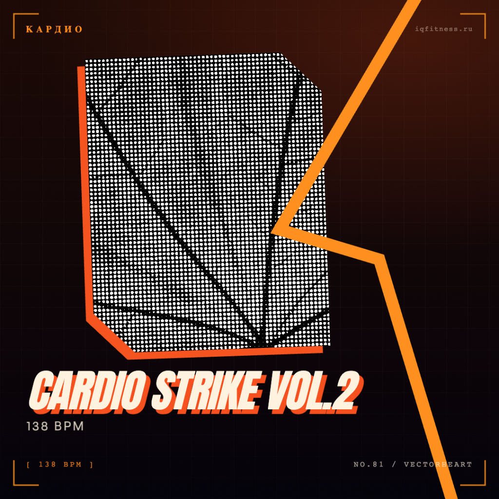 CARDIO STRIKE Vol.2 (138 bpm 56 min) 