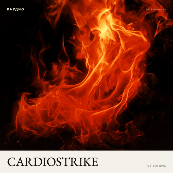 CARDIOSTRIKE — 135-140 bpm-60 min 