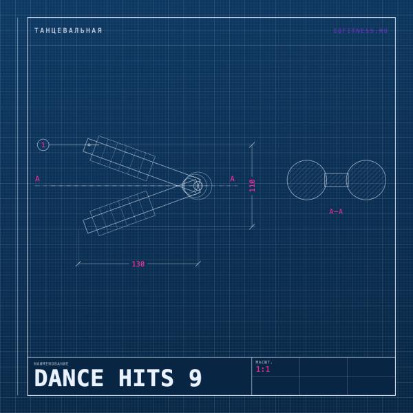DANCE HITS 9 135 BPM 56 min 