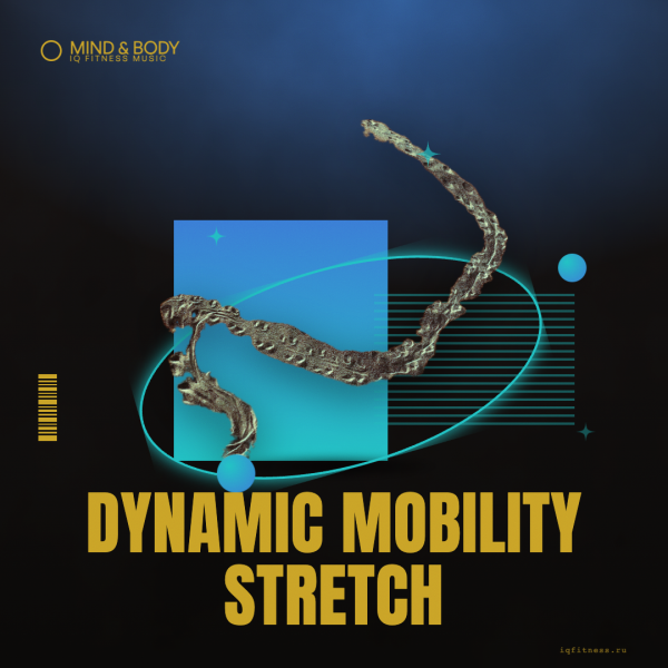DYNAMIC MOBILITY STRETCH — музыка для фитнеса