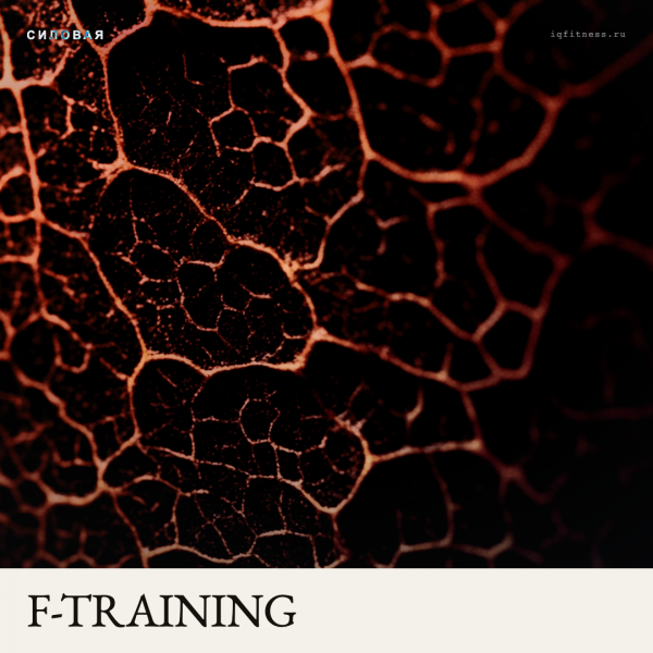 F-TRAINING DIFFERENT BPM 60 MIN 