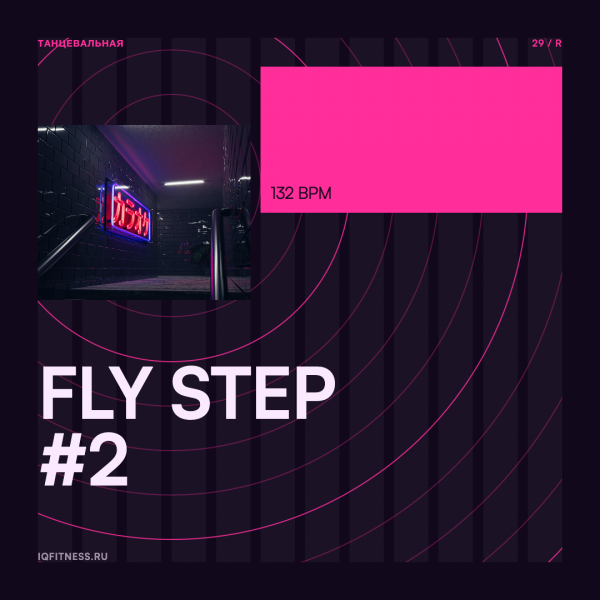 FLY STEP #2 — 132 BPM — 50 MIN 