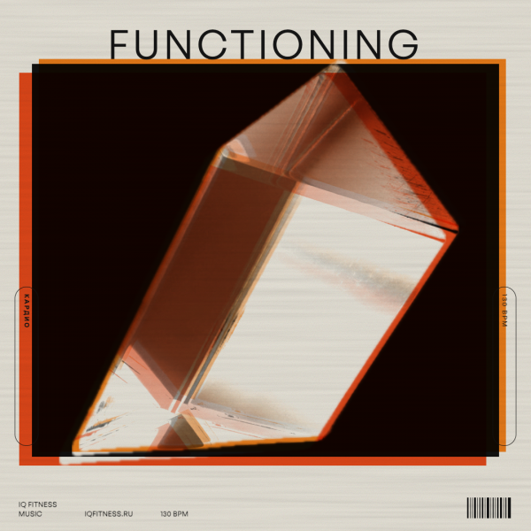 FUNCTIONING — 130 bpm — 60 min 