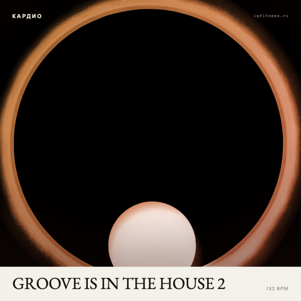 GROOVE IS IN THE HOUSE 2 (132 bpm 59 min) 