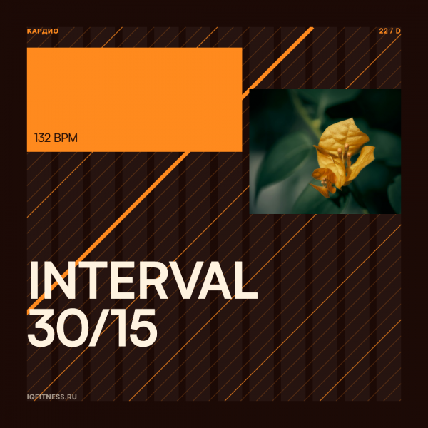 INTERVAL 30/15 (132 bpm 79 min) 