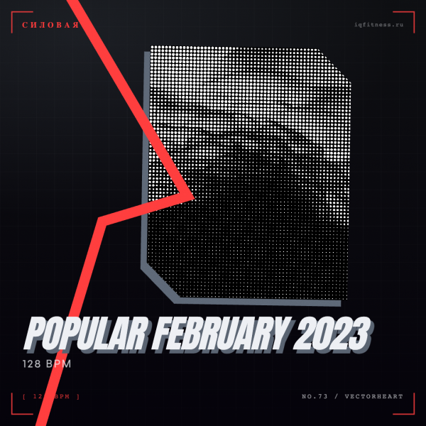 POPULAR February 2023 (128 bpm 73 min) 