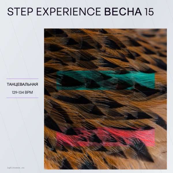 STEP EXPERIENCE весна 15 — 129-134 bpm — 60 min 