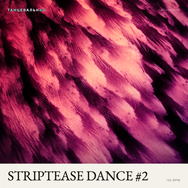STRIPTEASE DANCE #2 — музыка для фитнеса 120 BPM