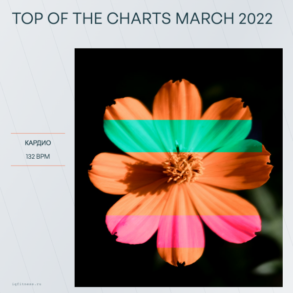 TOP OF THE CHARTS March 2022 (132 bpm 59 min) 
