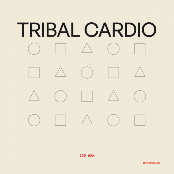 TRIBAL CARDIO (135 bpm 55 min) 