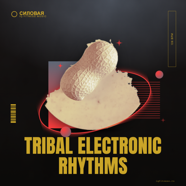 TRIBAL ELECTRONIC RHYTHMS (128 bpm 59 min) 