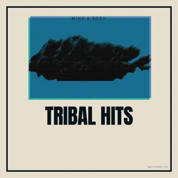TRIBAL HITS- 60 min 